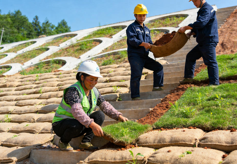 万江街道植生袋护坡